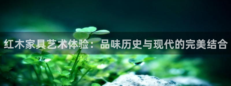 球盟会可以提现么是真的吗