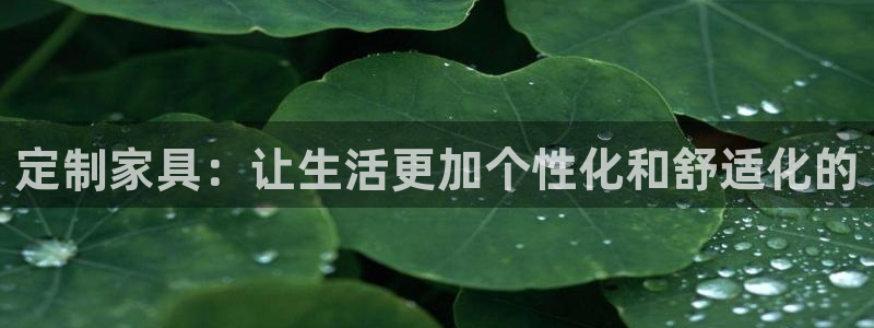 球盟会黑款吗知乎文章