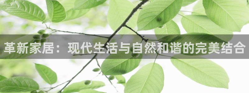 球盟会网页版登陆：革新家居：现代生活与自然和谐的完美结合