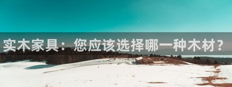 球盟会和中欧