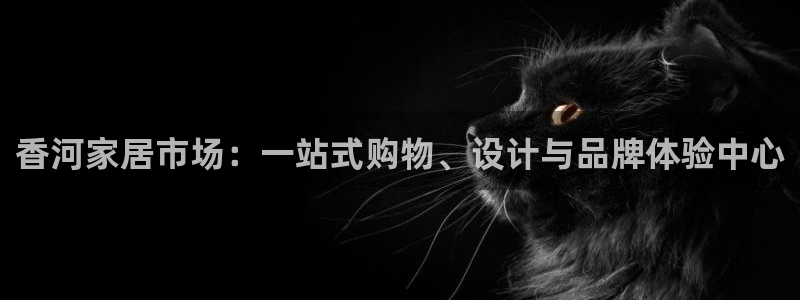 球盟会和中欧合作吗