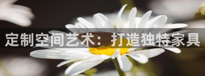 球盟会在线官网