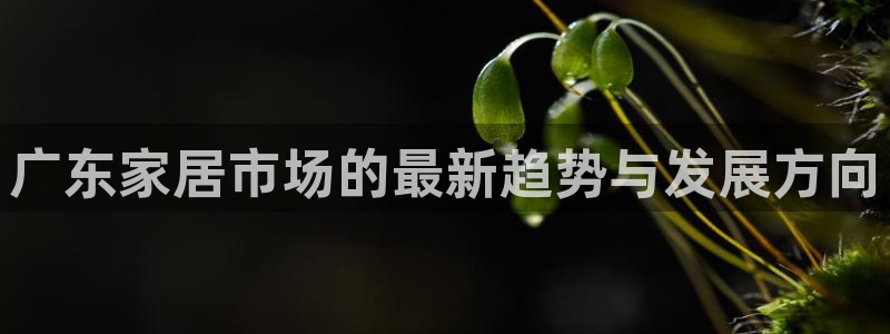 球盟会黑款吗知乎：广东家居市场的最新趋势与发展方向