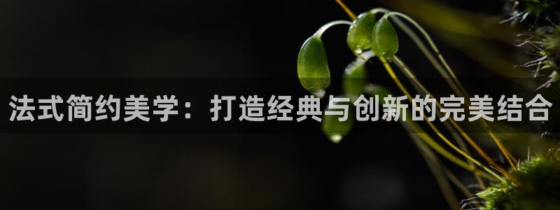 球盟会黑网