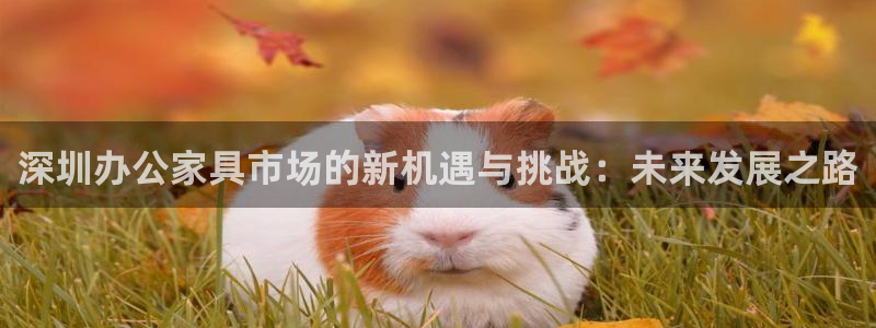 球盟会黑