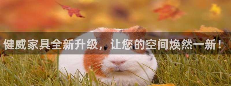 球盟会黑款吗还是白款