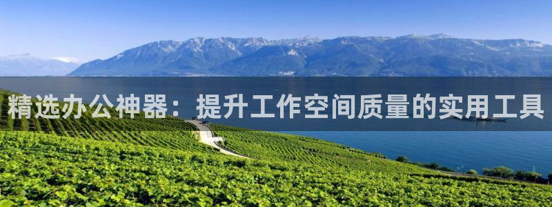球盟会用的客服聊天是哪个软件