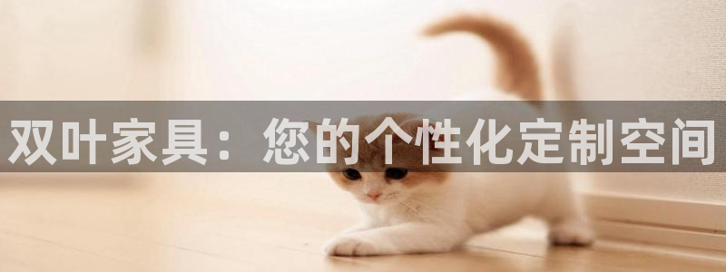 球盟会可以提现么现在：双叶家具：您的个性化定制空间