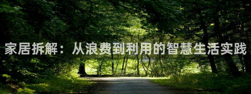 球盟会进不去吗