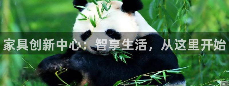 球盟会在线登入