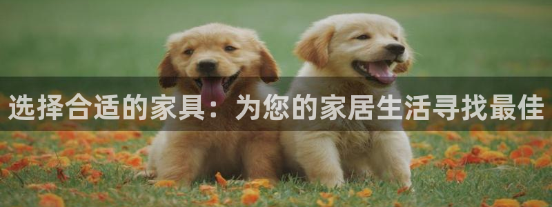 球盟会综合app下载