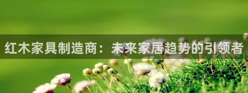 球盟会官方网站app