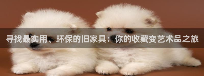 球盟会在线登录