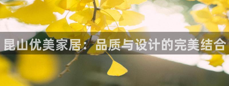 球盟会和中欧会的区别