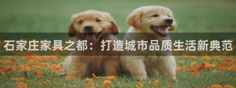 球盟会能提现吗