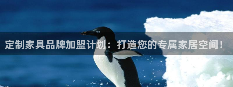 球盟会在线登录官网