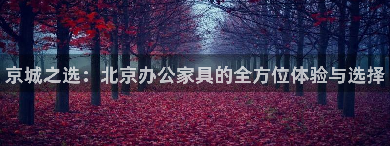 球盟会综合体育平台怎么样