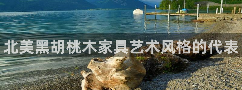 球盟会进不去吗