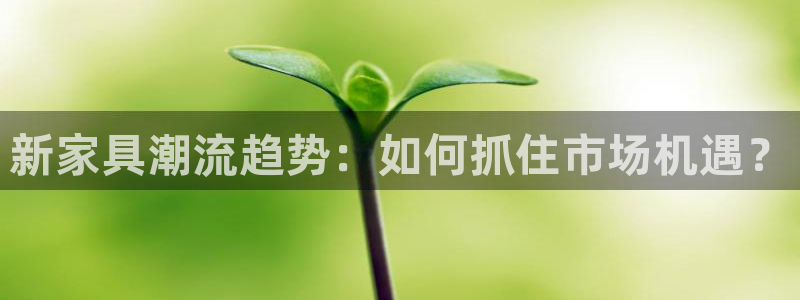 球盟会网址qm9 - 球盟会qmh网页版登录