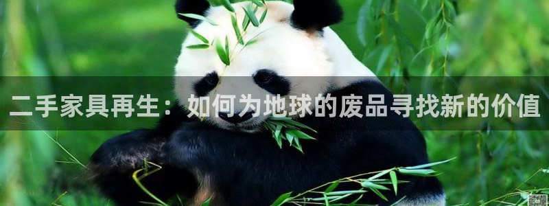 球盟会在线登入