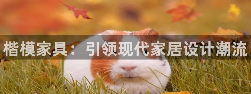 球盟会中国网页登录