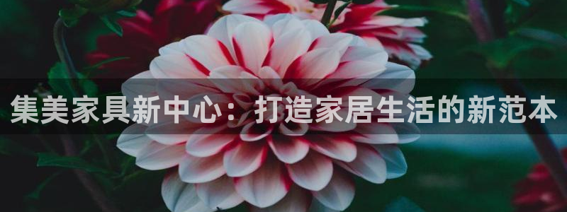 球盟会官方网页登录