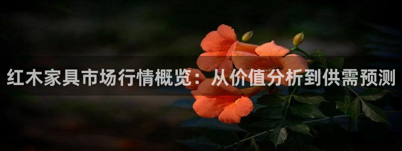 球盟会能提现吗安全吗